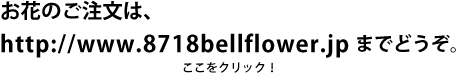 8718bellflower�٥�ե�