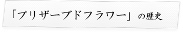 プリザーブドフラワーの歴史