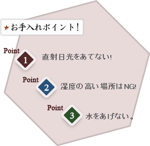 お手入れにポイント